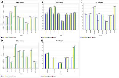 Development and Implementation of In-House Pharmacogenomic Testing Program at a Major Academic Health System